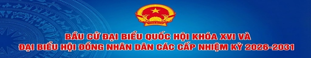Bầu cử đại biểu Quốc hội và HĐND các cấp